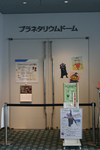 IMG_4767-1.jpg